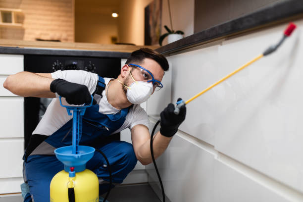 Best Emergency Pest Control  in Sanford, CO