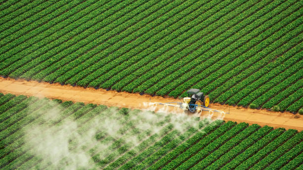 Best Mosquito Control Services  in Sanford, CO