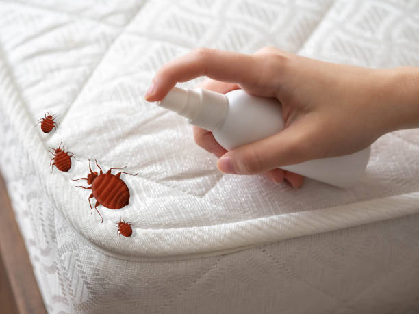 Best Residential Pest Control  in Sanford, CO