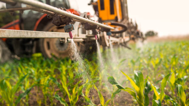 Best Ant Control Services  in Sanford, CO